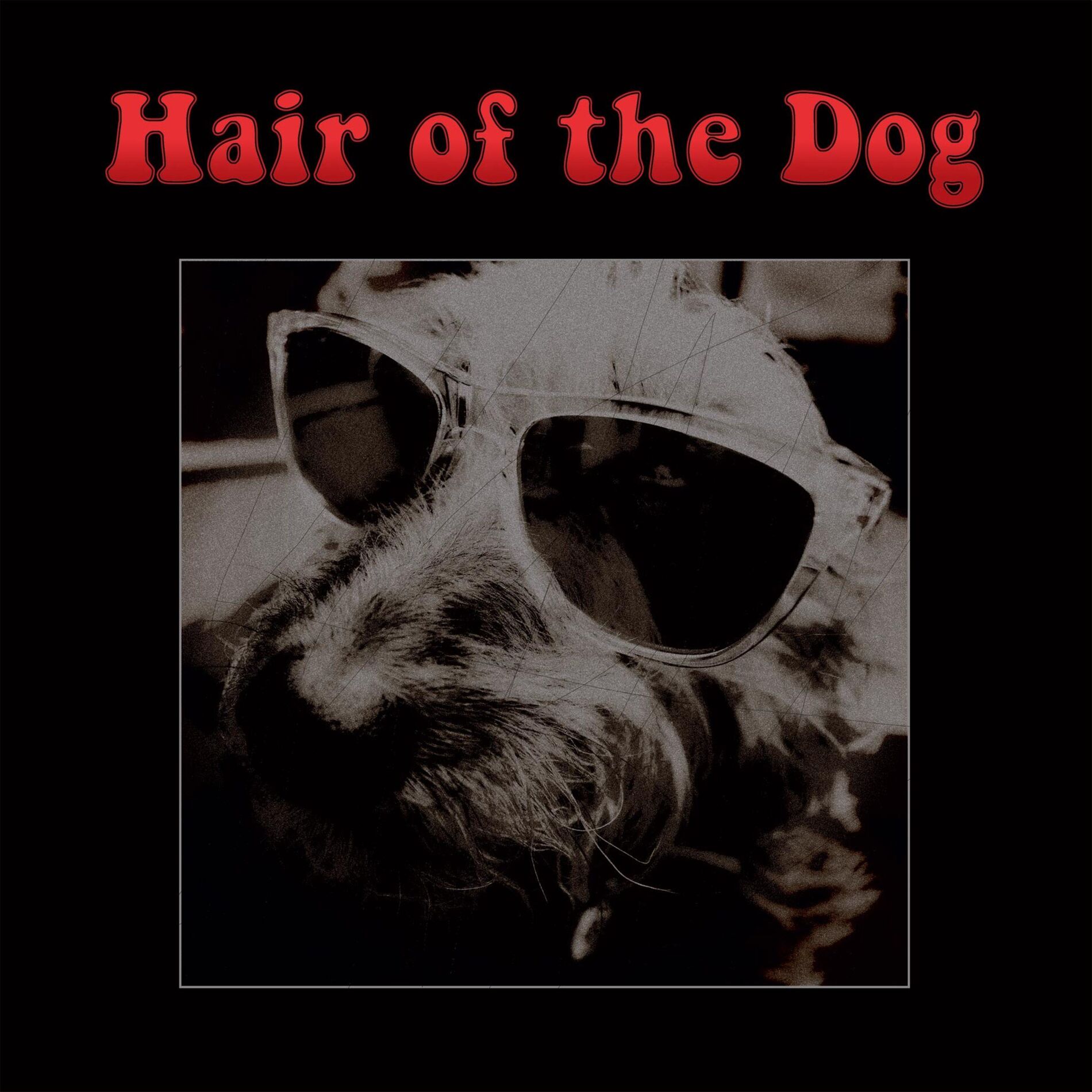 Album cover of Hair of the Dog