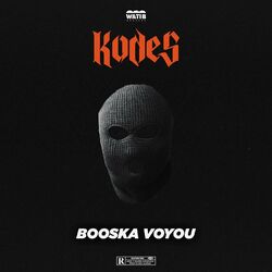 Cover of Booska voyou (Freestyle Booska-P)
