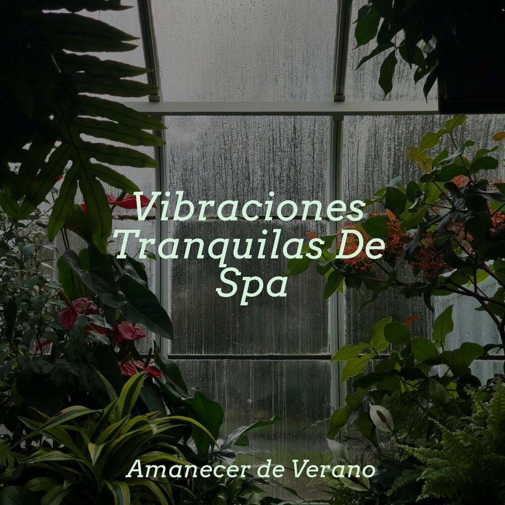 Picture of Vibraciones Tranquilas De Spa