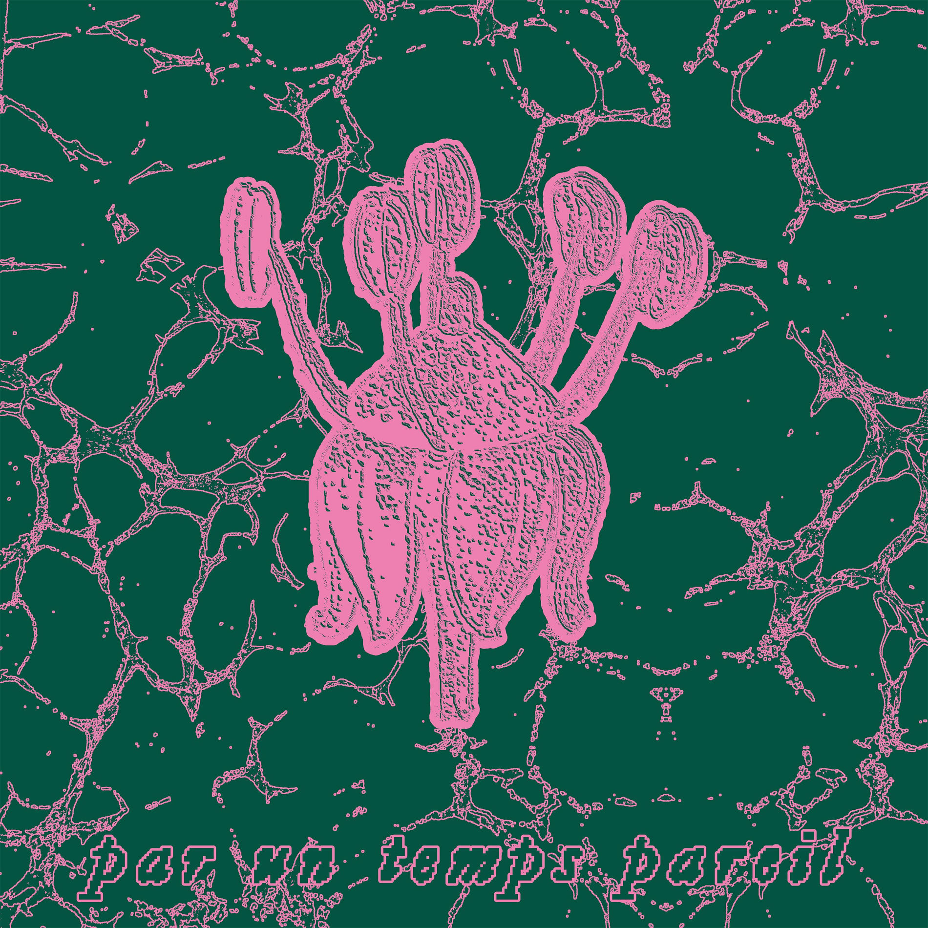 Album cover of Par un temps pareil