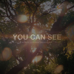 You Can See