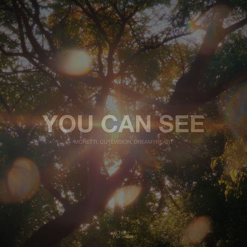 You Can See