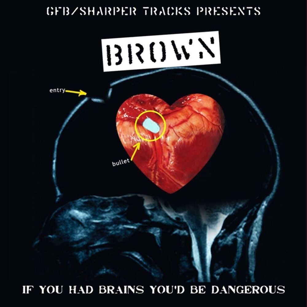 Picture of If You Had Brains You'd Be Dangerous