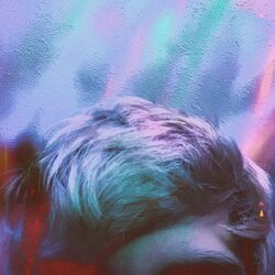 Cover of Eyebrows