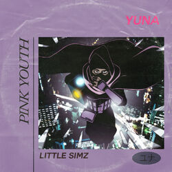 Cover of Pink Youth