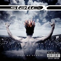 Cover of Cult of Static