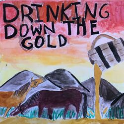 Cover of Drinking Down the Gold