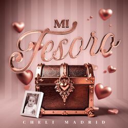 Cover of Mi Tesoro