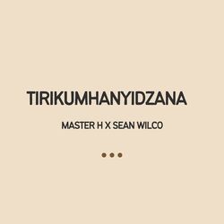 Cover of Tirikumhanyidzana