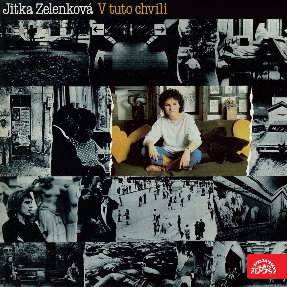 Picture of V Tuto Chvíli (Bonus Track Version)