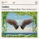 Losing My Religion (feat. Pearl Andersson)