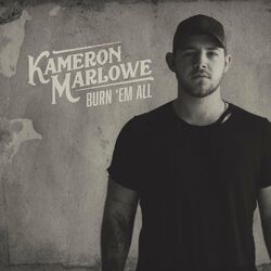 Cover of Burn 'Em All