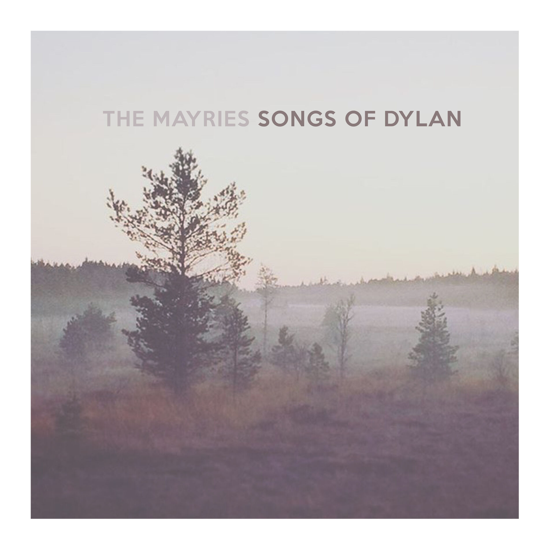Album cover of Songs of Dylan