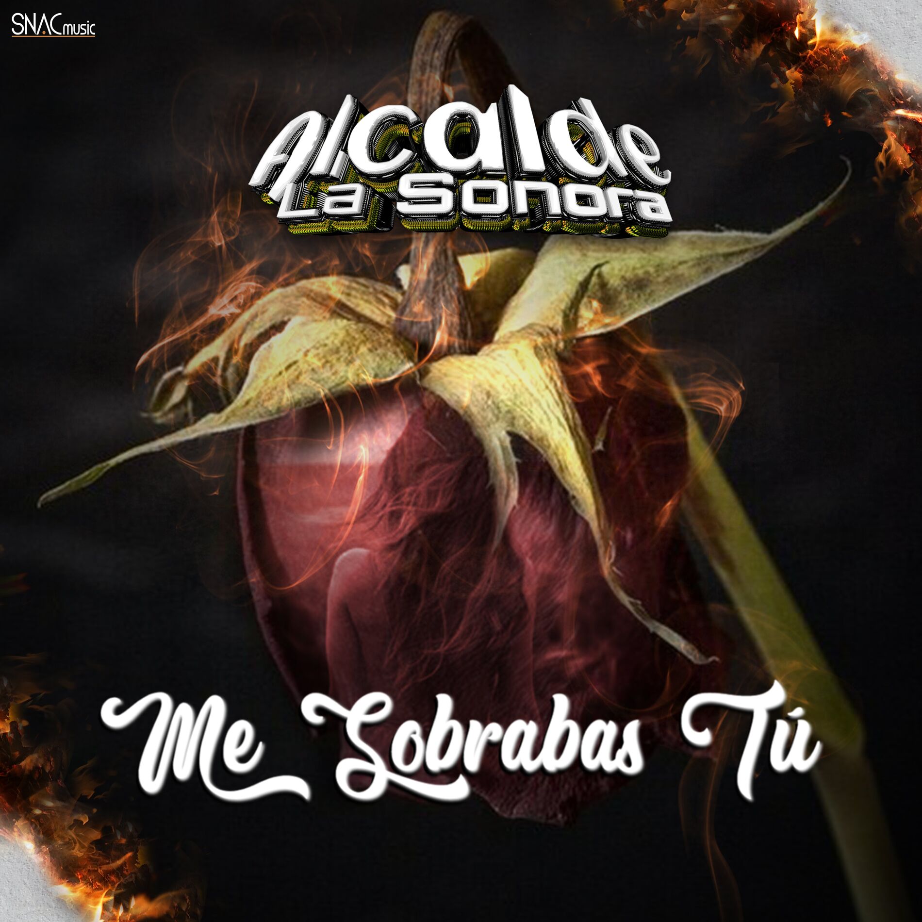 Album cover of Me Sobrabas Tú