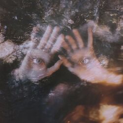Cover of 33