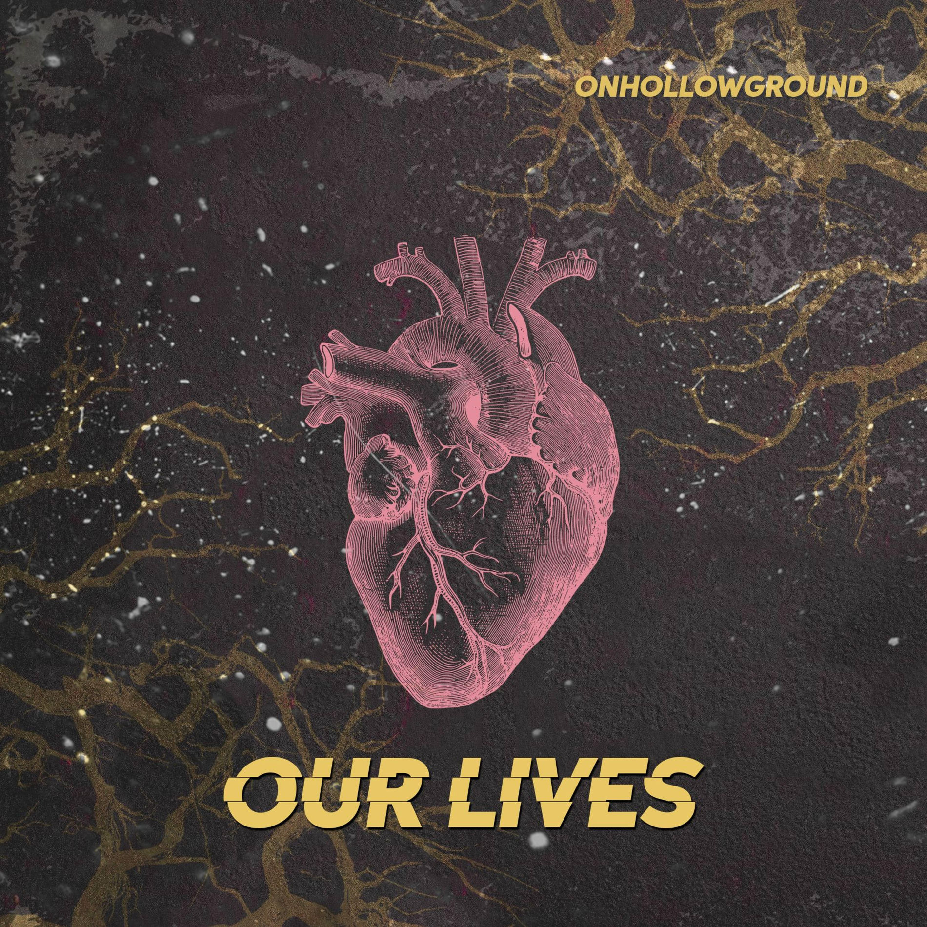 Album cover of Our Lives