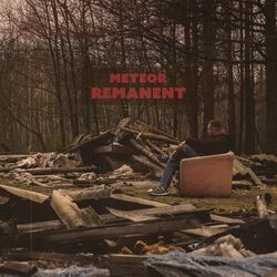Cover of Remanent