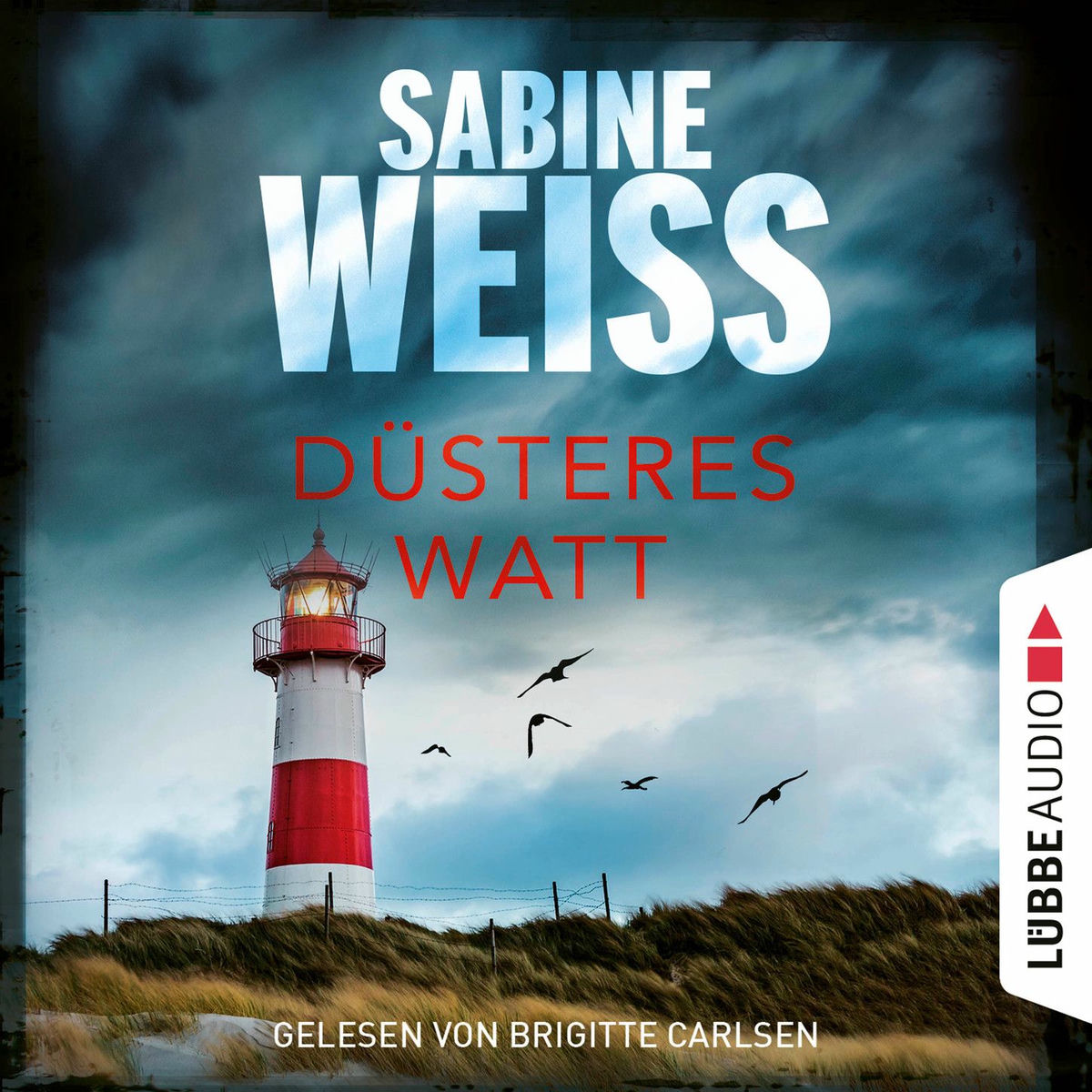 Album cover of Kapitel 1 - Düsteres Watt - Liv Lammers, Teil 6