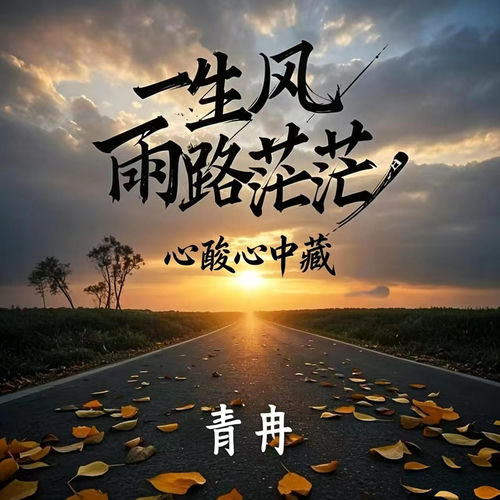 一生风雨路茫茫(心酸心中藏)