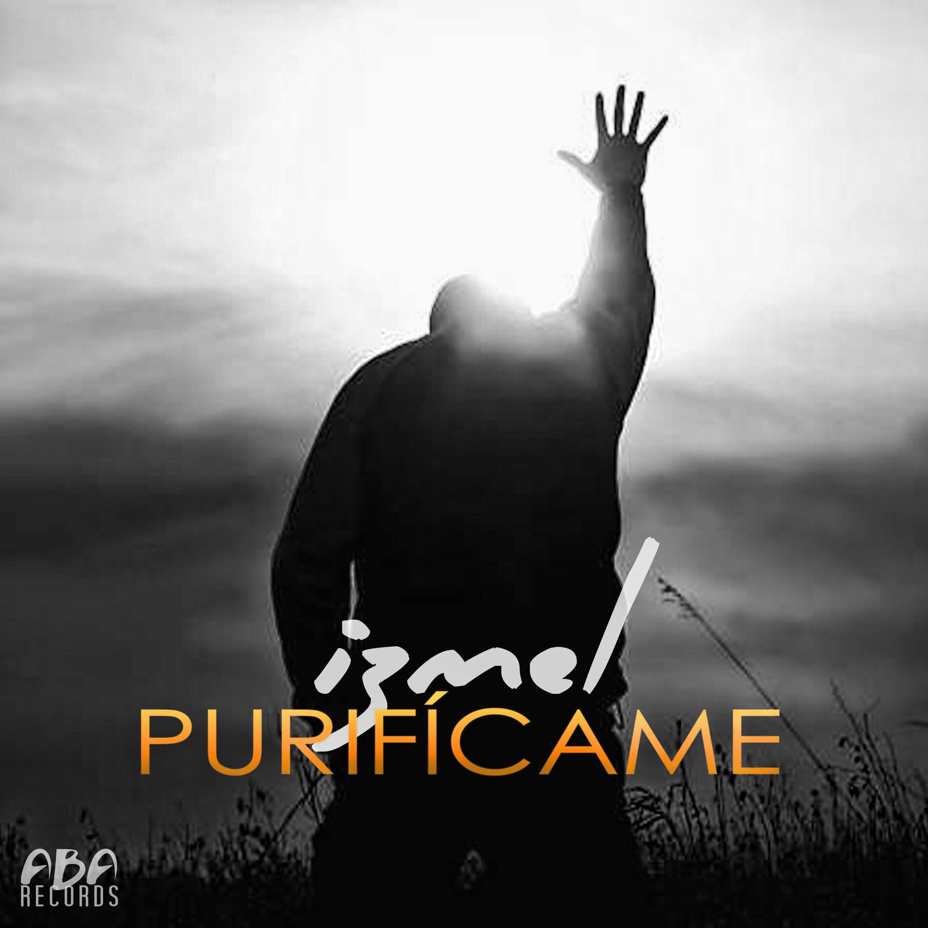 Album cover of Purifícame