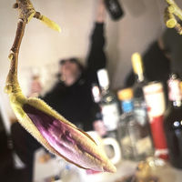 Sankt Krinzinger — Aprilwetter in der Bar