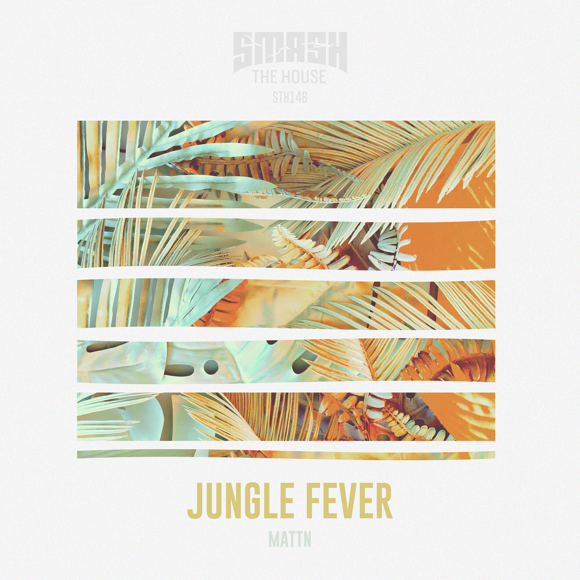 Album cover of Jungle Fever