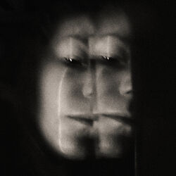 Cover of Weight