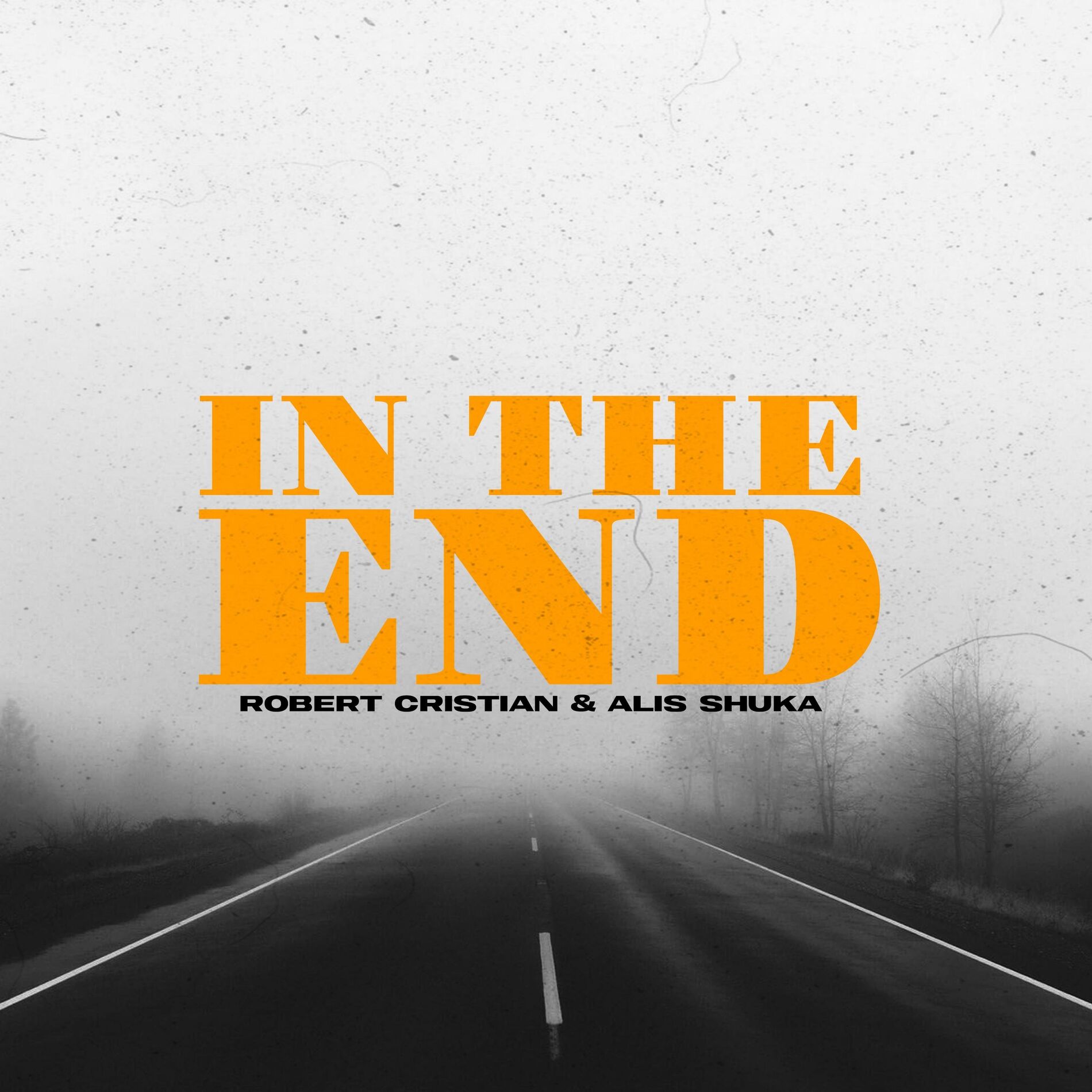 Album cover of In the end