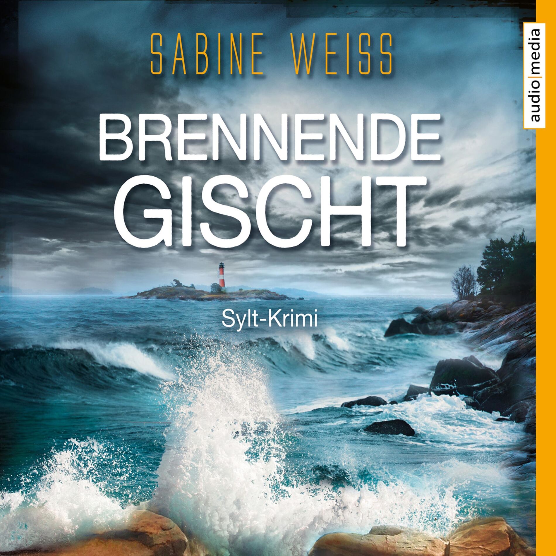 Album cover of Kapitel 1 - Brennende Gischt