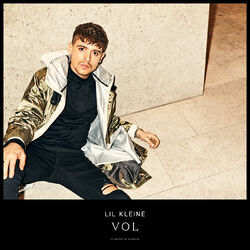 Cover of Vol