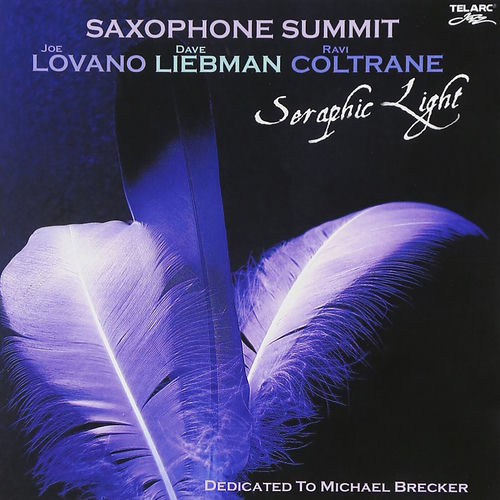 Seraphic Light sleeve