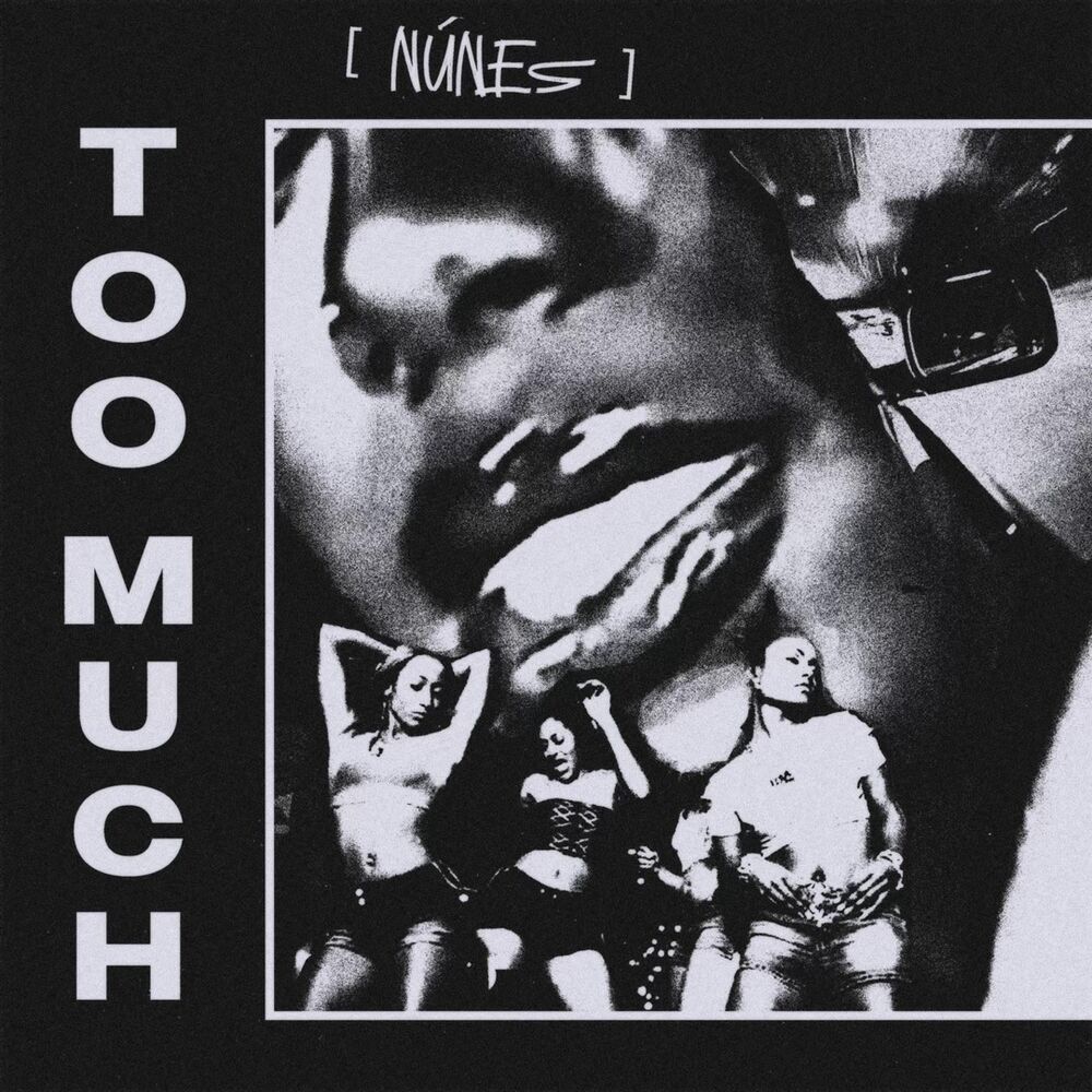Picture of Too Much