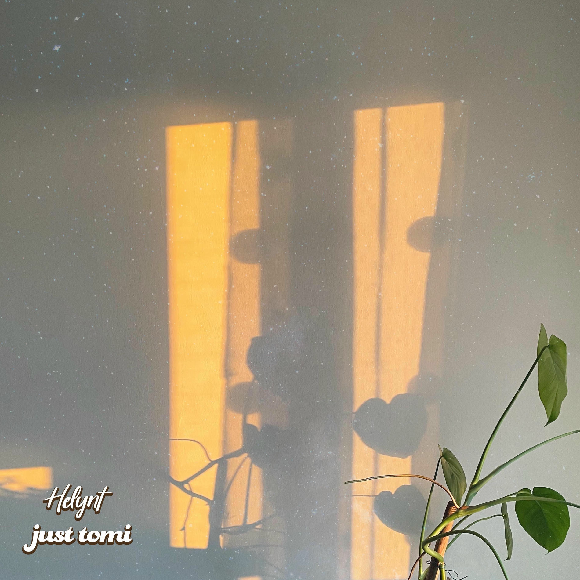 Album cover of SHADOWS (feat. Helynt)