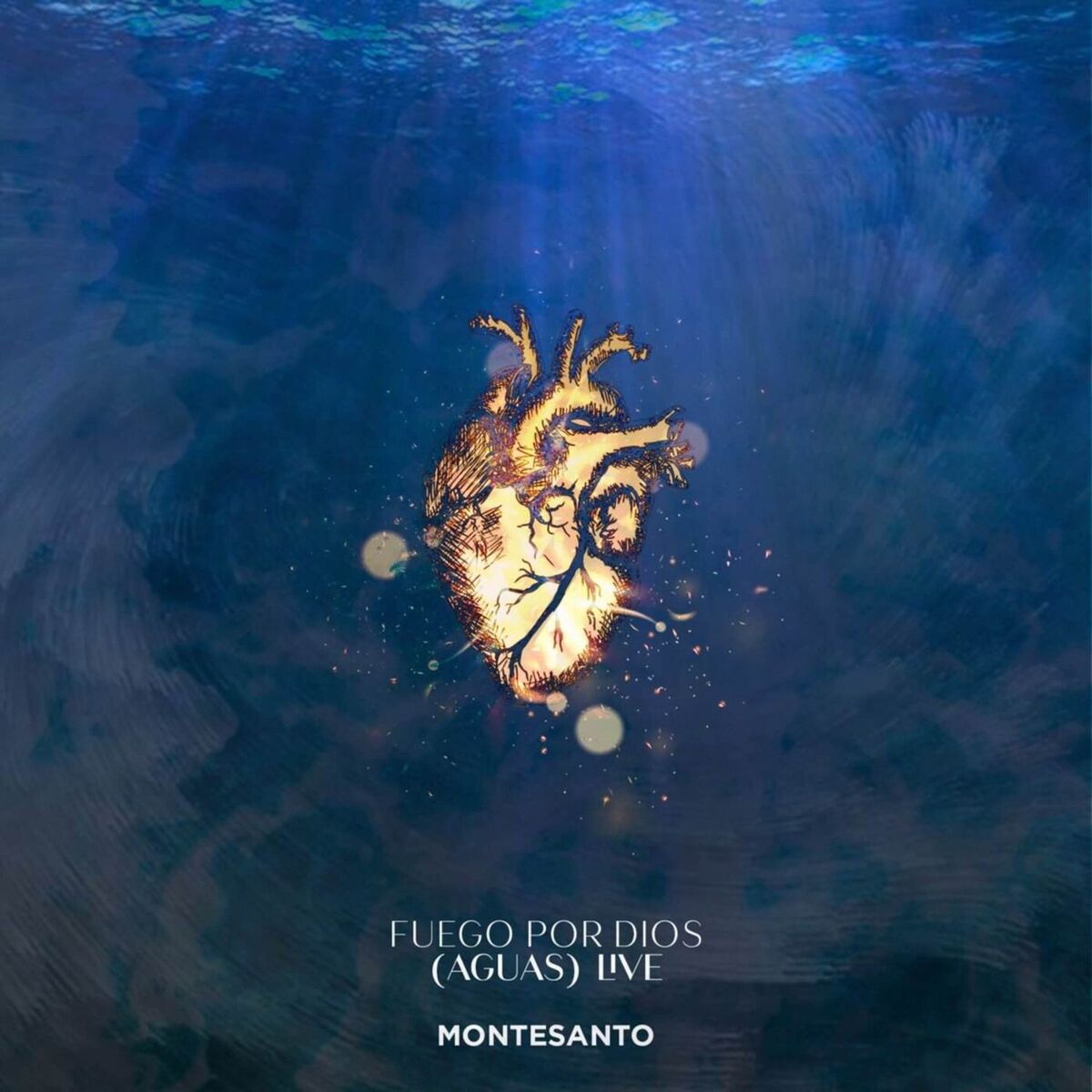 Album cover of Fuego por Dios (Live)