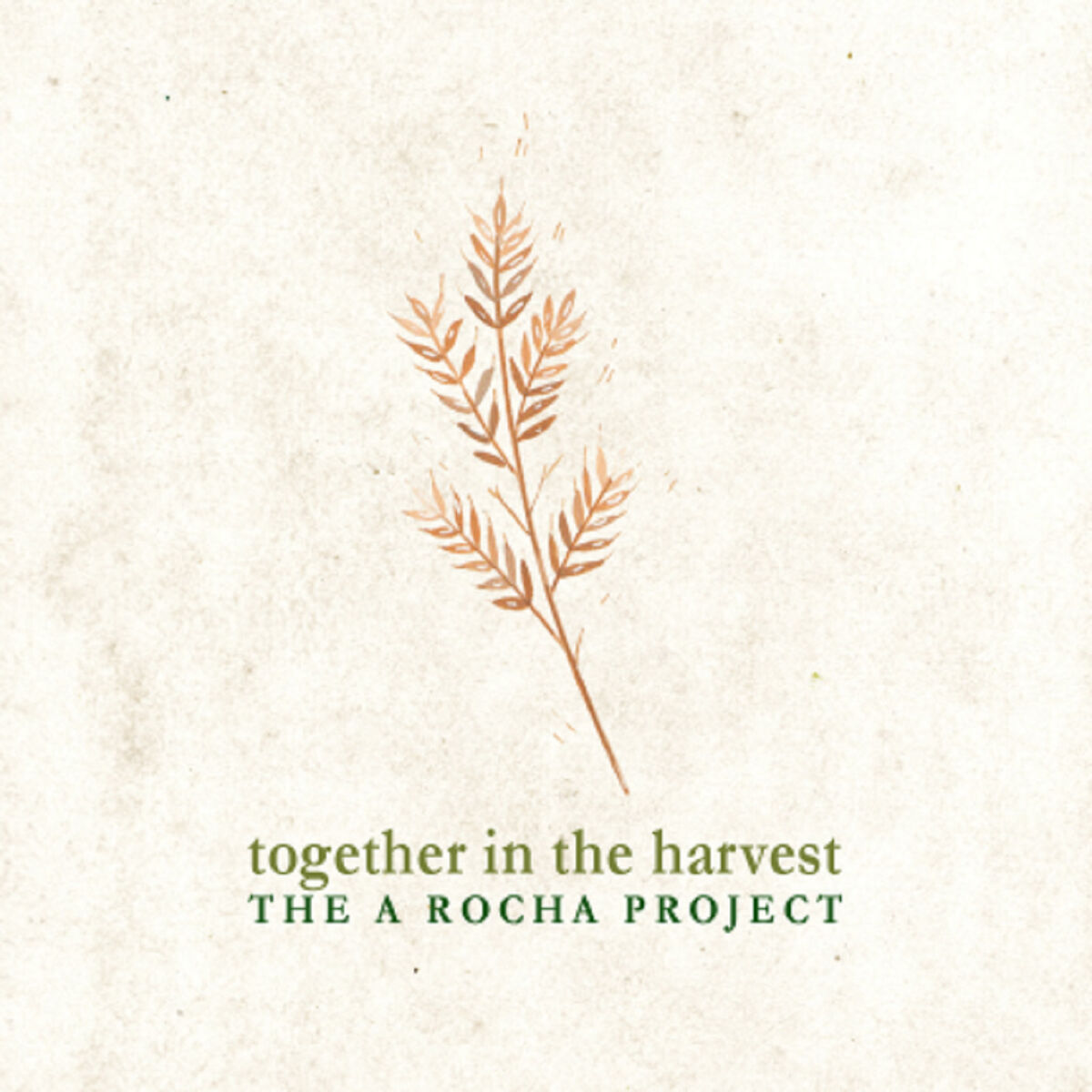 Album cover of Together in the Harvest: The A Rocha Project