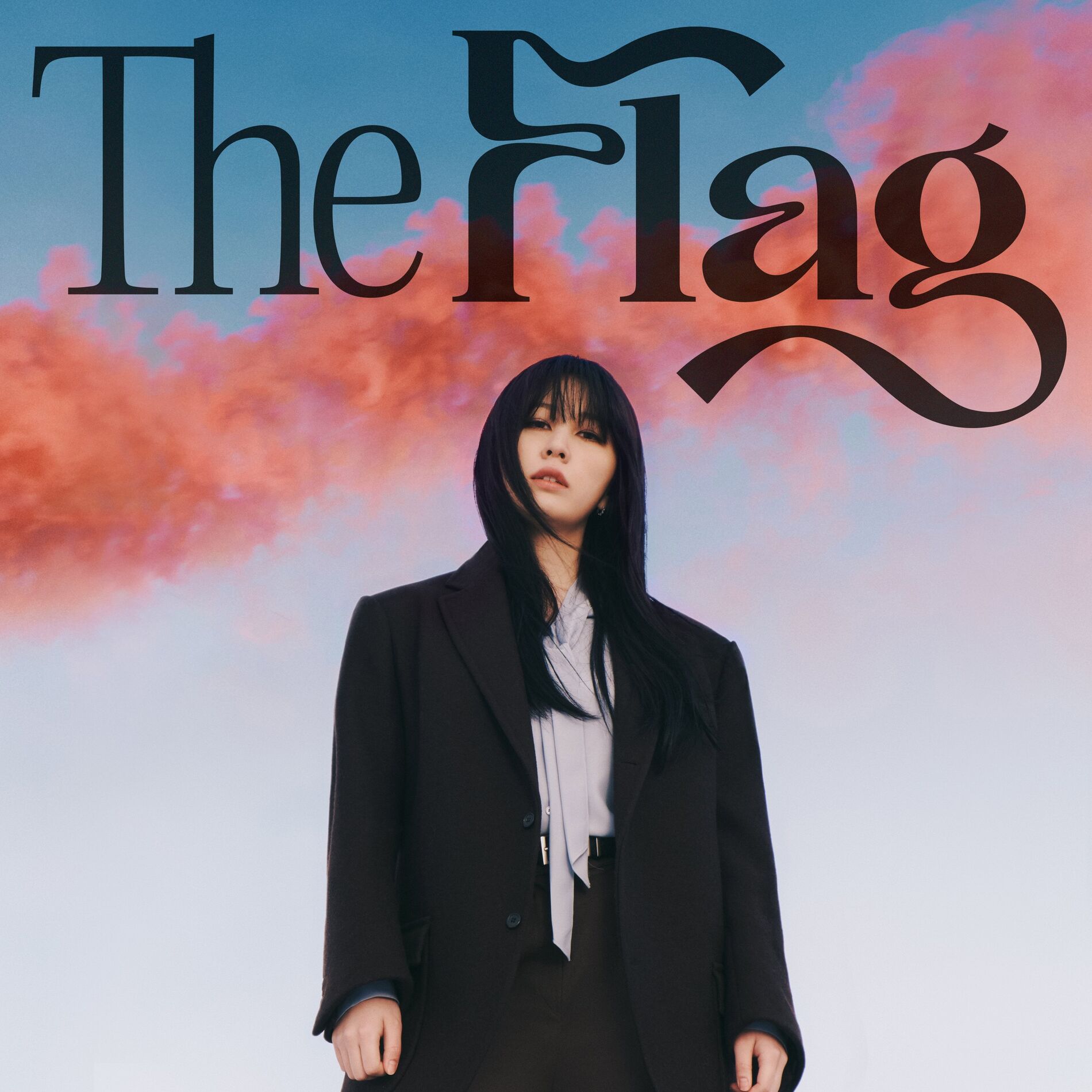 Album cover of The Flag
