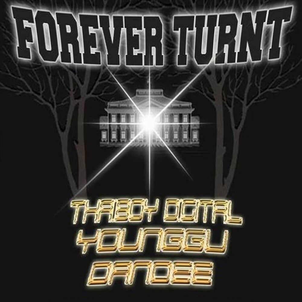 Picture of Forever Turnt