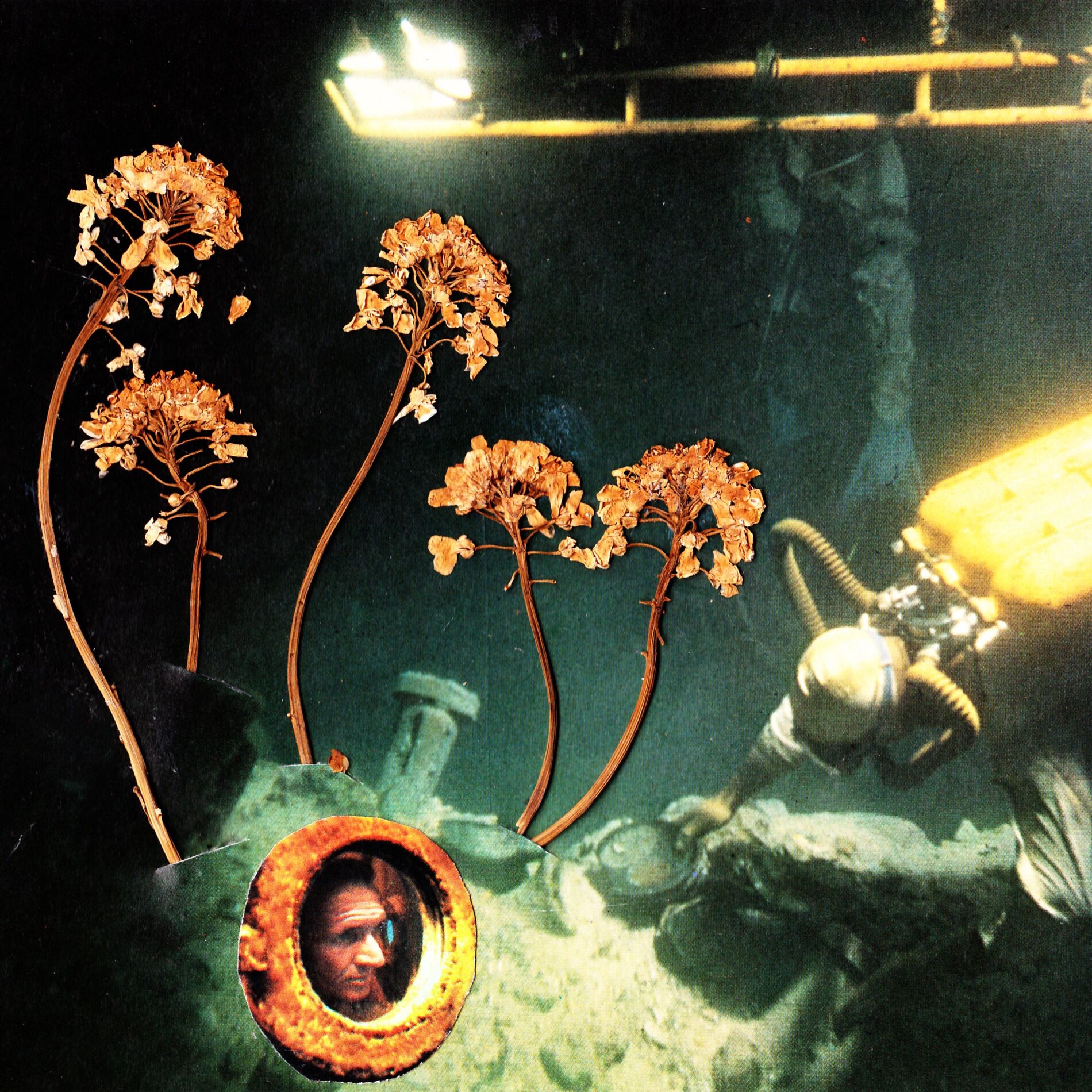 Album cover of Ocean