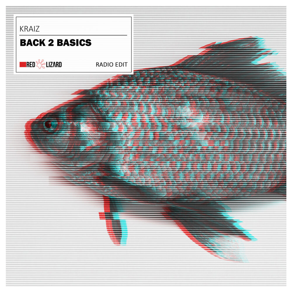 Picture of Back 2 Basics (Radio-Edit)