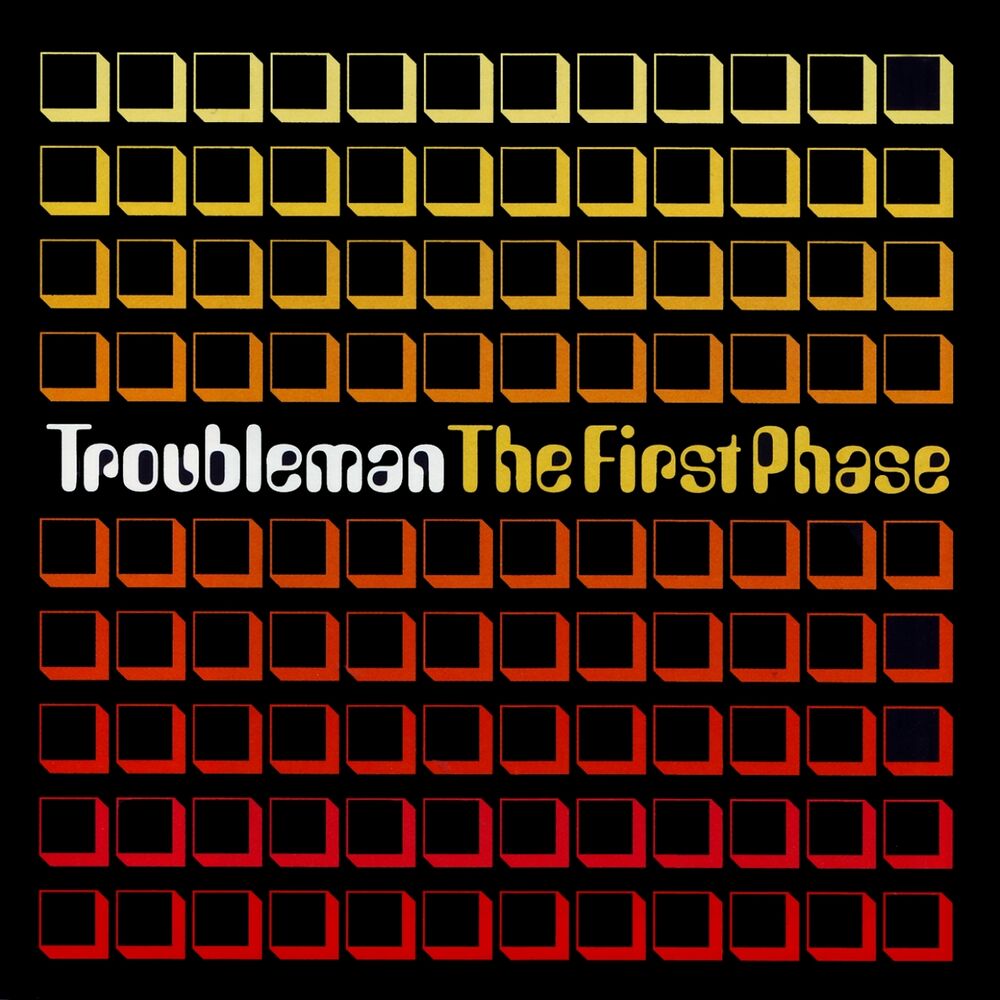 Picture of The First Phase