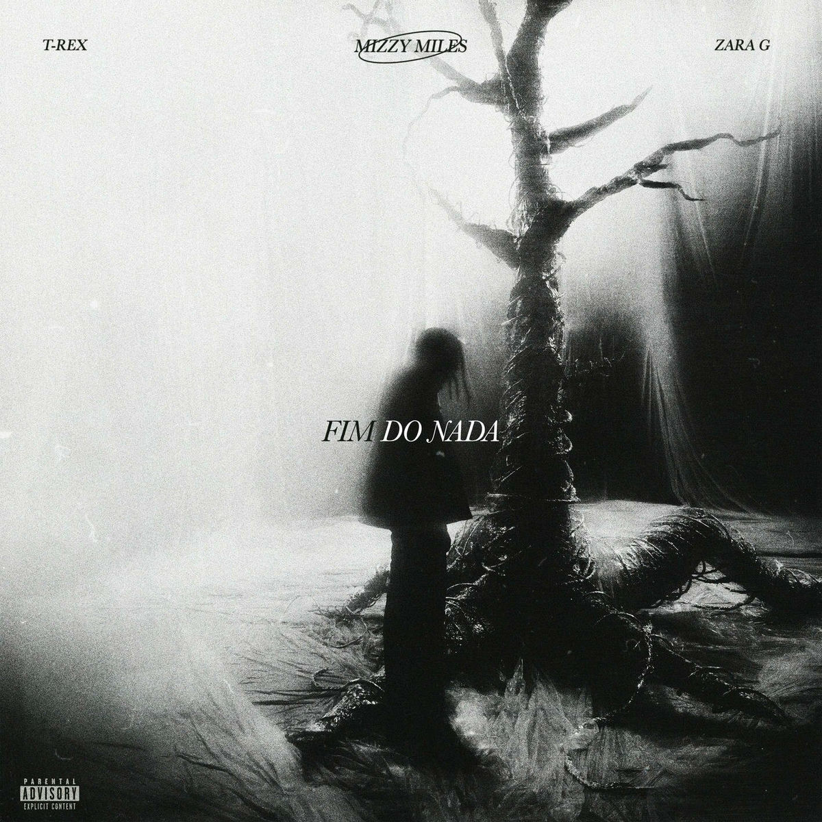 Album cover of FIM DO NADA (with T-Rex & Zara G)