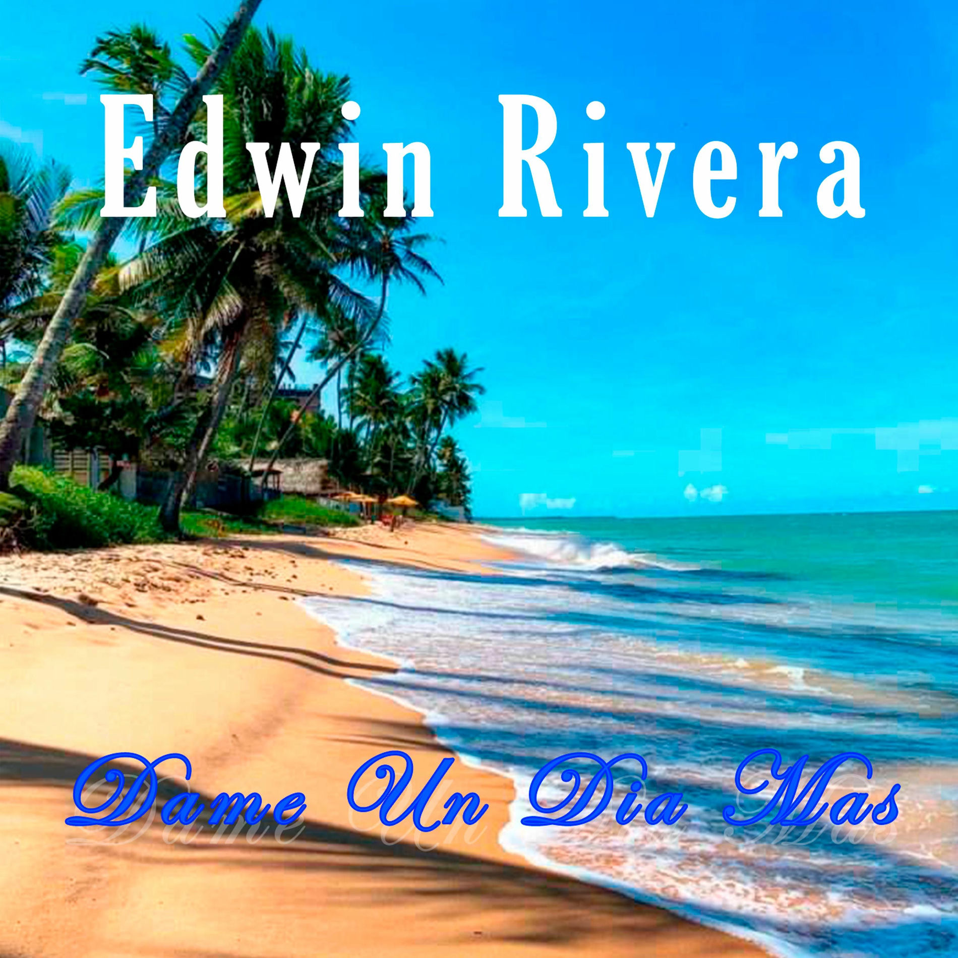 Album cover of Dame Un Dia Mas