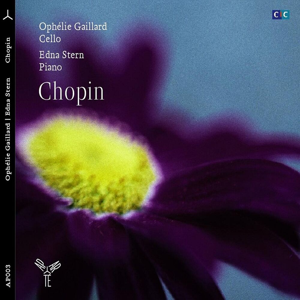 Picture of Chopin