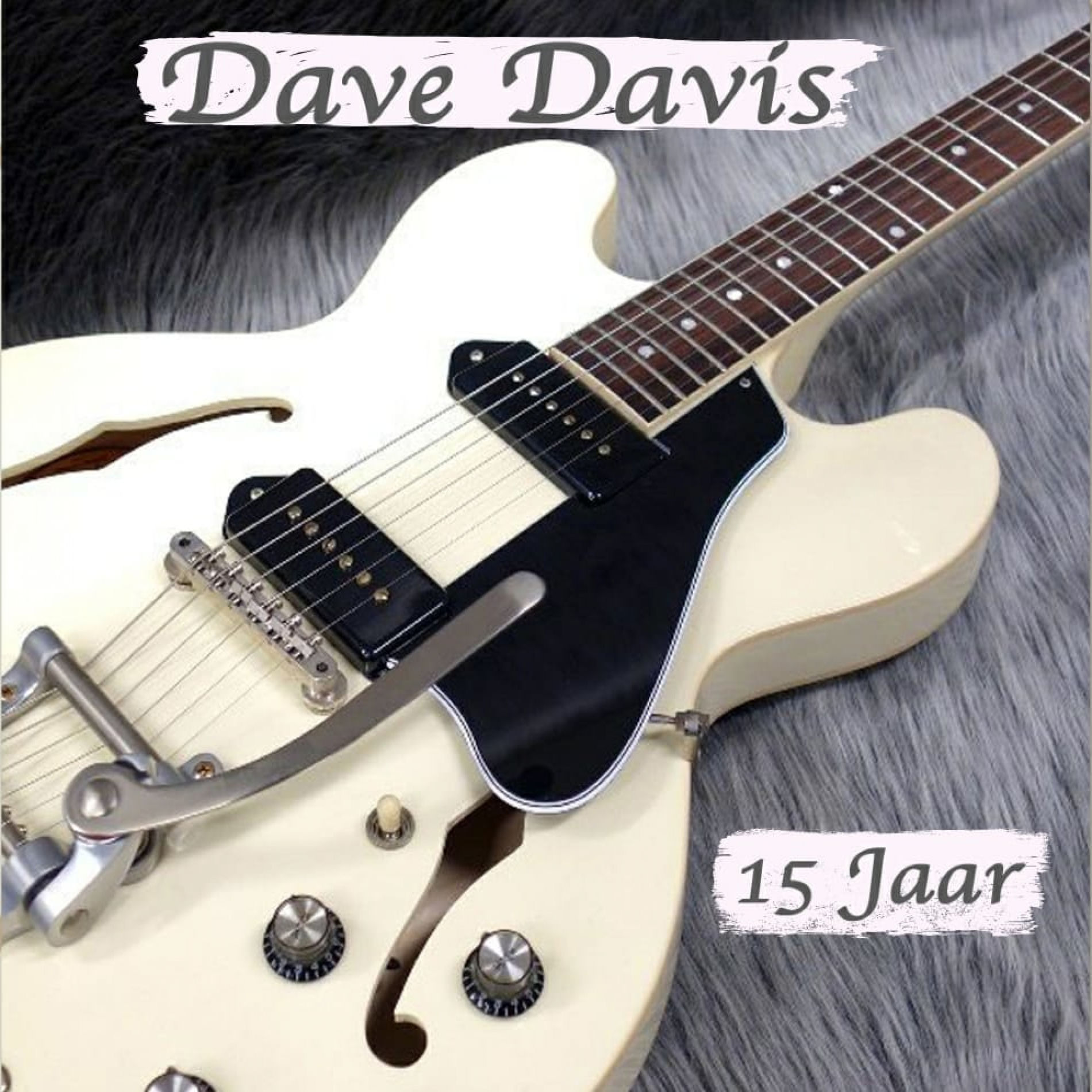 Album cover of 15 jaar