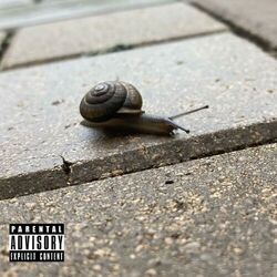 Cover of All Hail the Wedding Snail