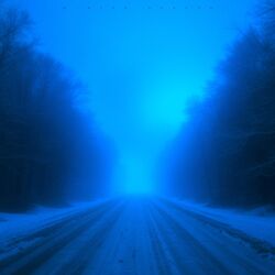Cover of winter season
