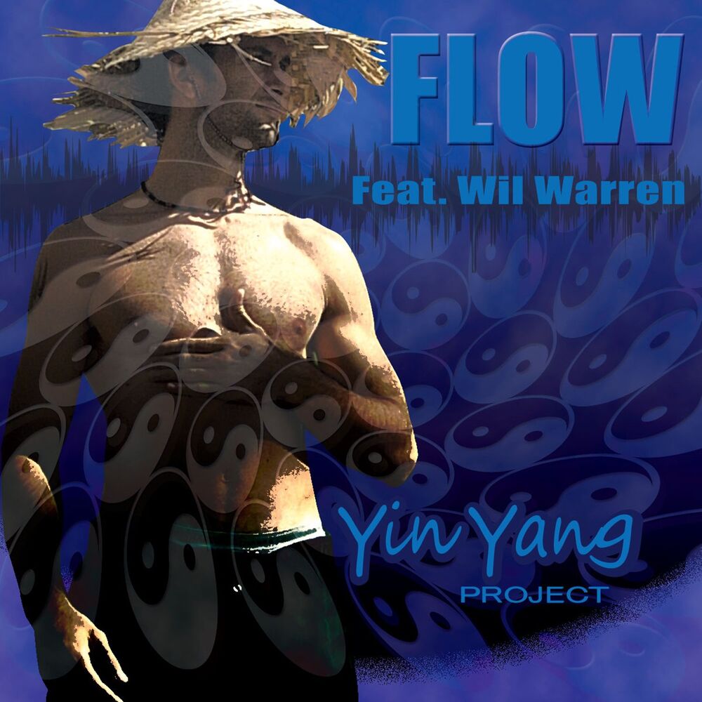 Picture of Yin Yang Project