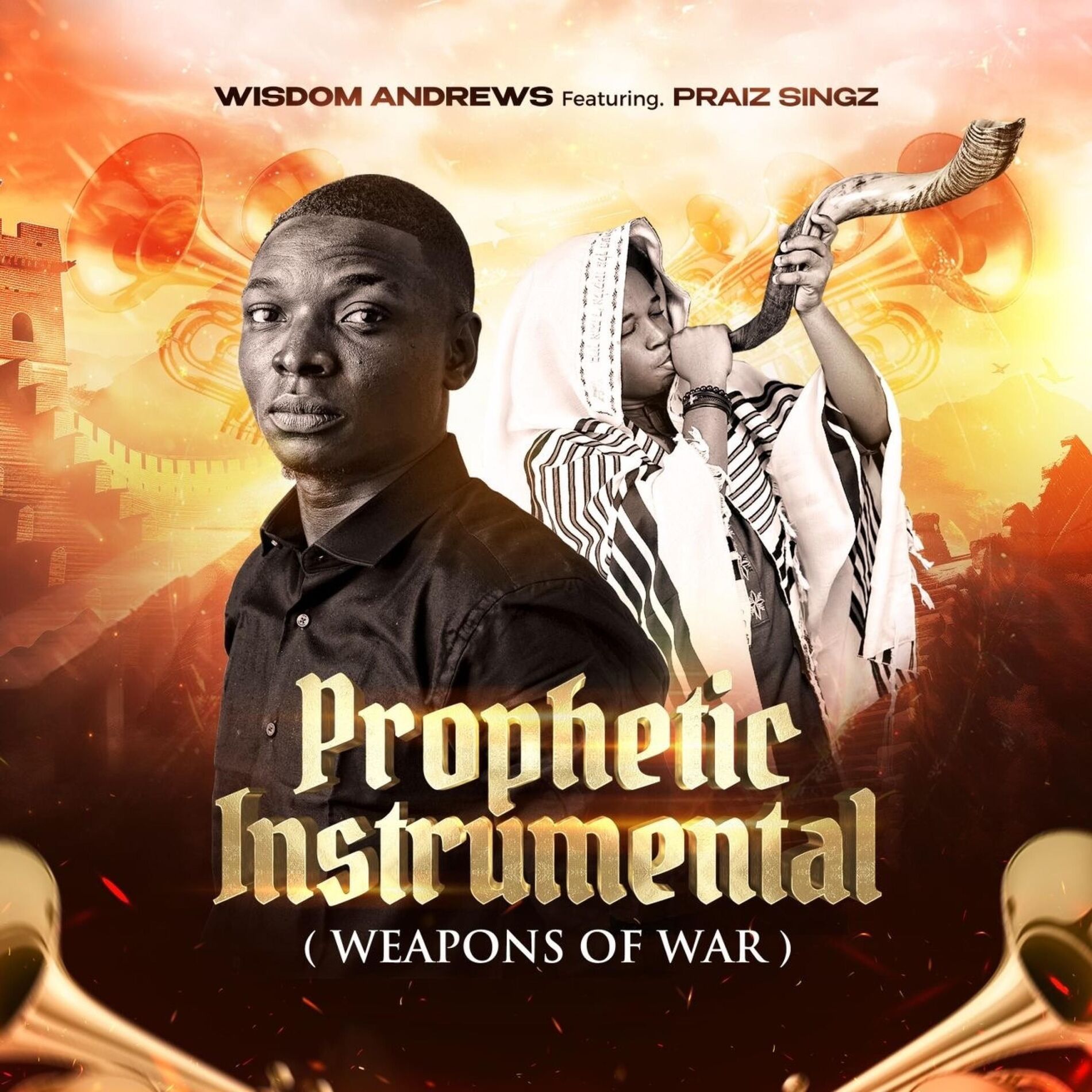 Album cover of Weapons of War (feat. Praiz Singz)