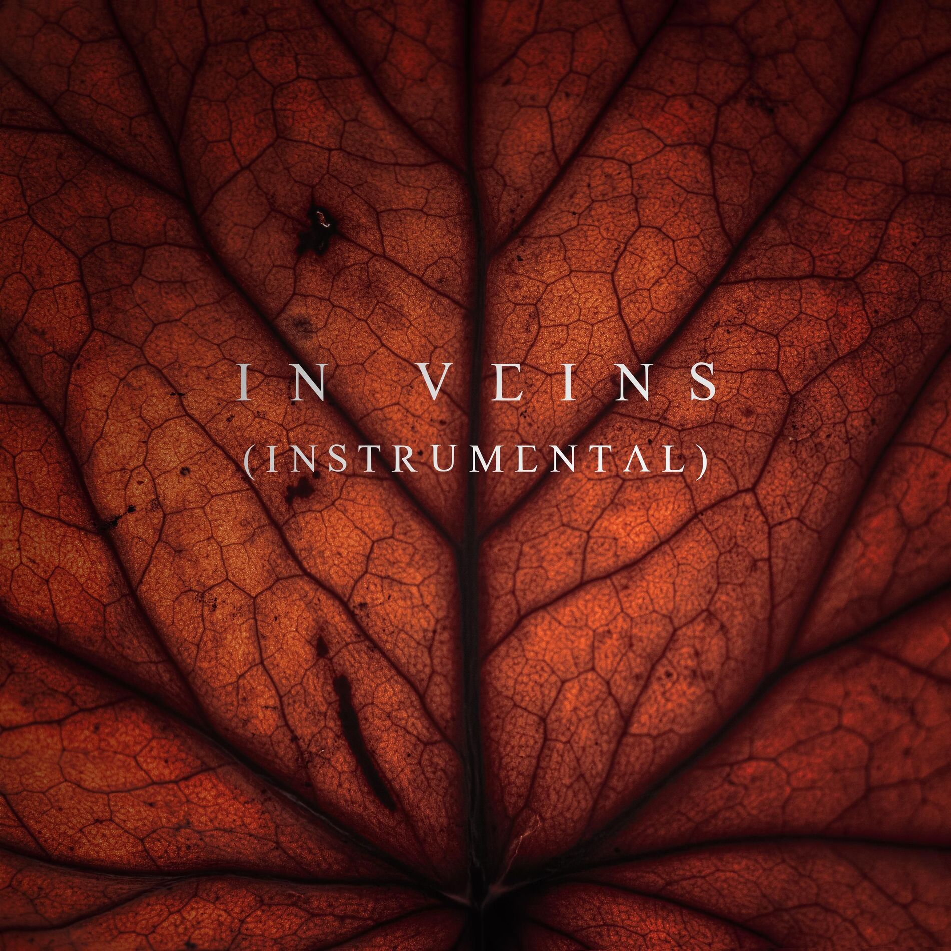 Album cover of In veins (Instrumental)