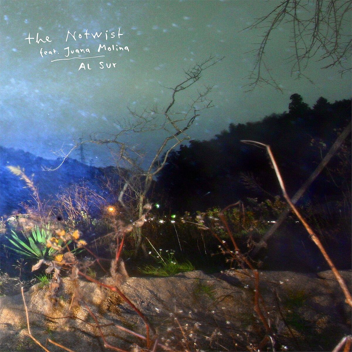 Album cover of Al Sur